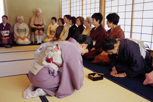 特別鑑賞会 神坂雪佳 楓紅葉図 茶室 古香庵 京都 細見美術館