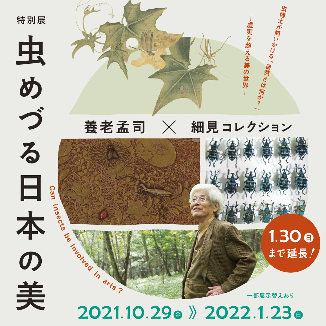 特別展 虫めづる日本の美 養老孟司×細見コレクション 京都 細見美術館