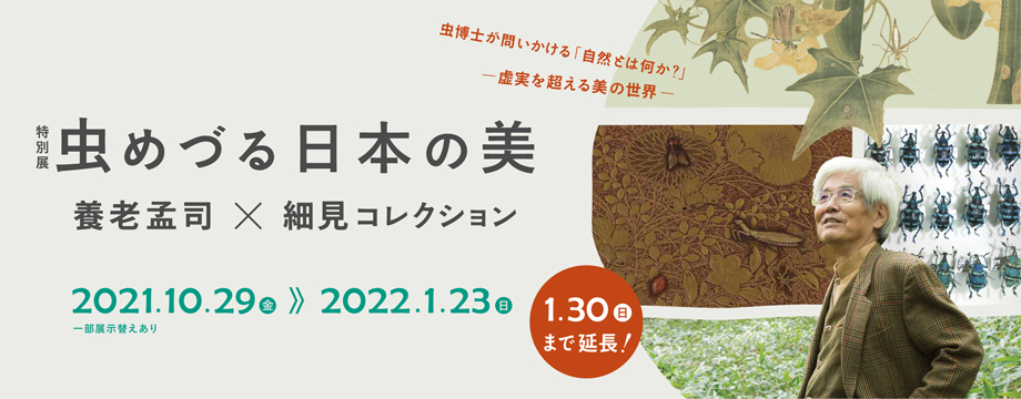 特別展 虫めづる日本の美 養老孟司×細見コレクション 細見美術館