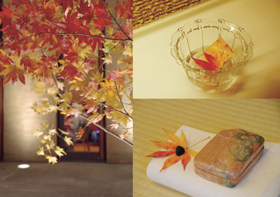 館内のいたるところには楓の一葉が カフェキューブ 特別鑑賞会 神坂雪佳 楓紅葉図 京都 細見美術館