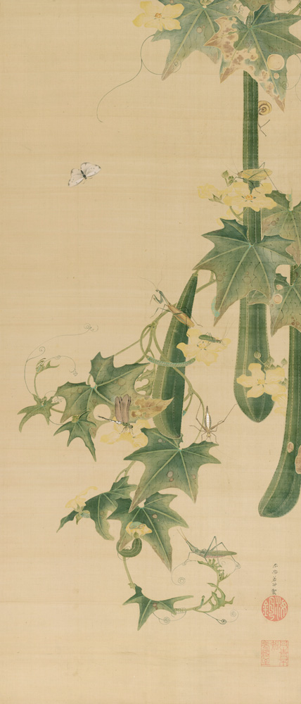 伊藤若冲 糸瓜群虫図 江戸中期 細見美術館蔵 京都 細見美術館